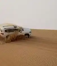 Dubai Desert Safari
