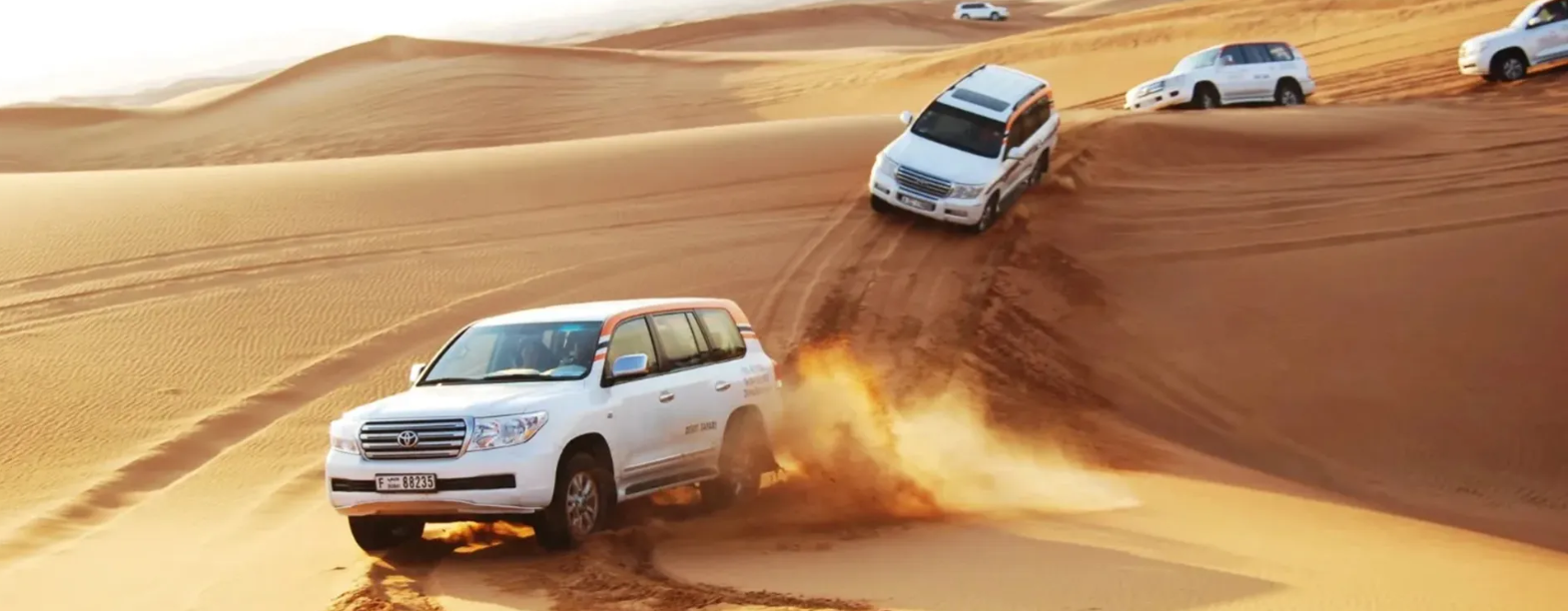 Dubai Desert Safari