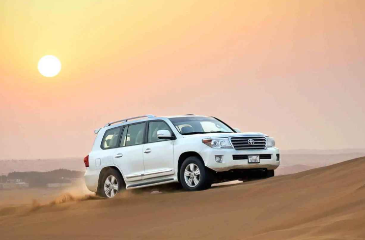 Morning Desert Safari